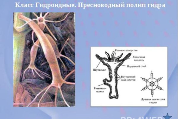 Официальный сайт даркнета