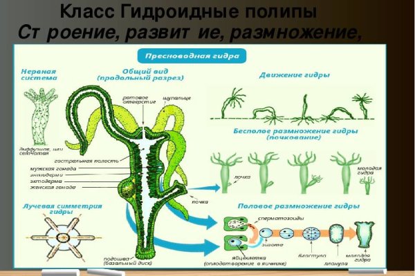 Кракен браузер