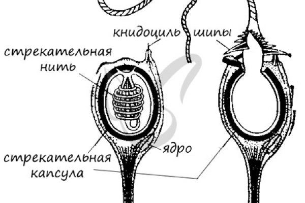 Kra30.cc